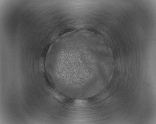 X0000062790234200601051054
