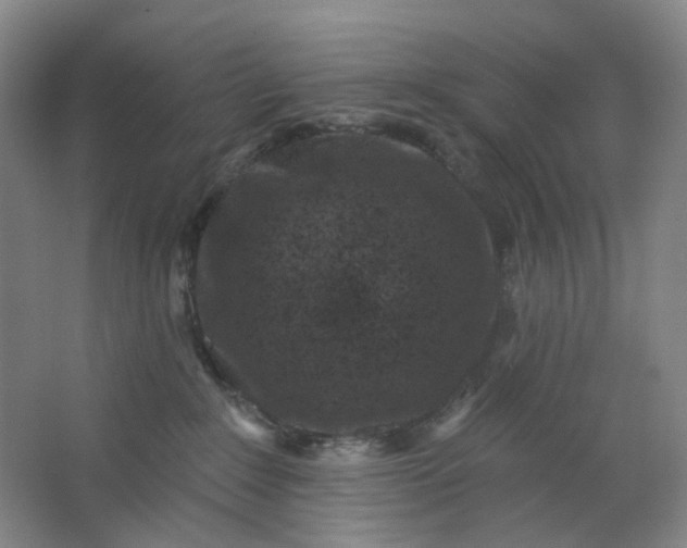 X0000062790235200601051054