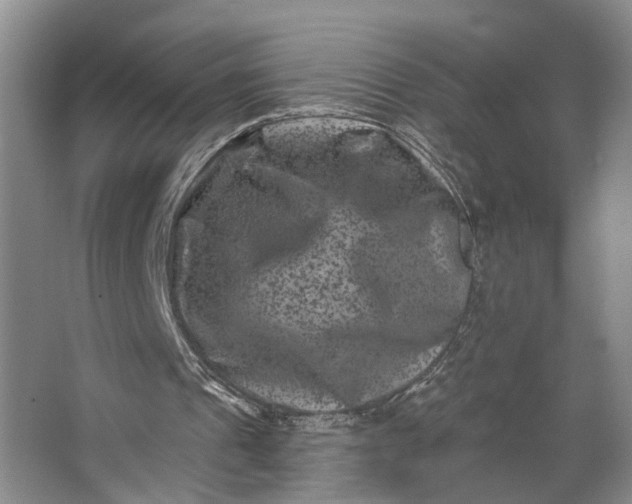 X0000062790241200601051053