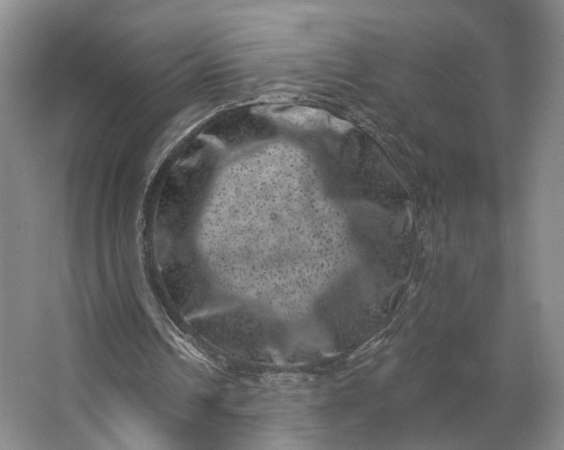 X0000062790242200601051053