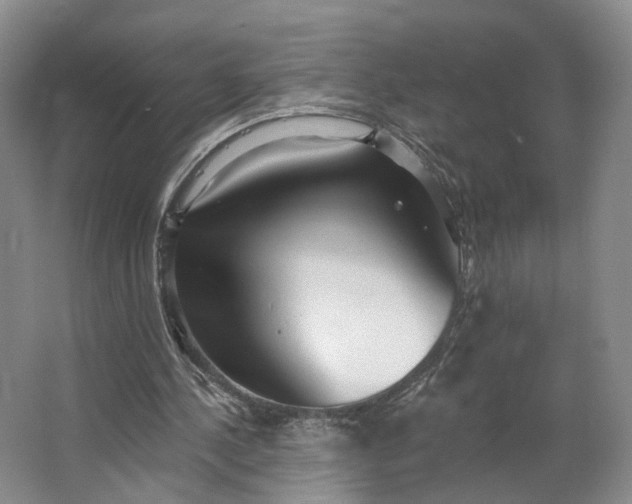 X0000062790244200601051053