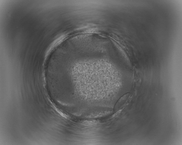 X0000062790245200601051053