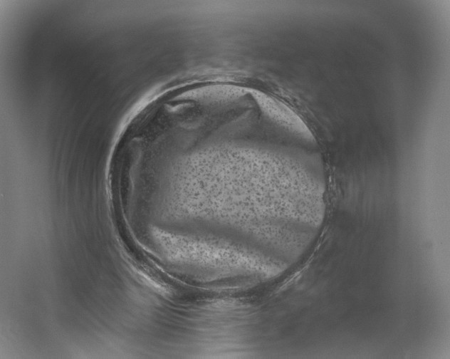 X0000062790246200601051053