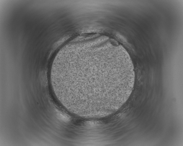 X0000062790250200601051053