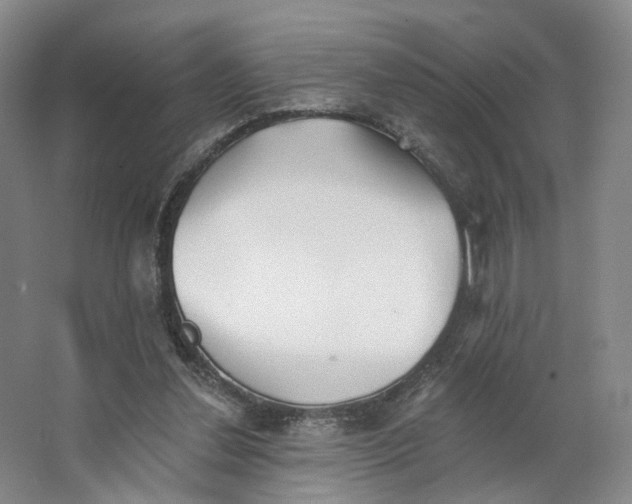 X0000062790252200601051053