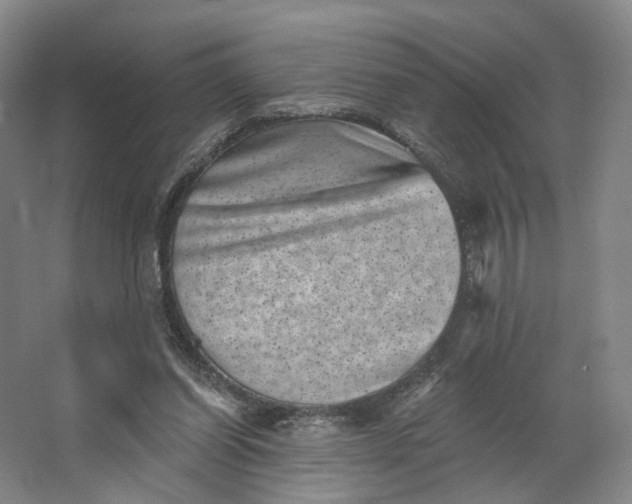 X0000062790254200601051053