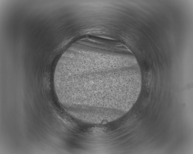 X0000062790255200601051053