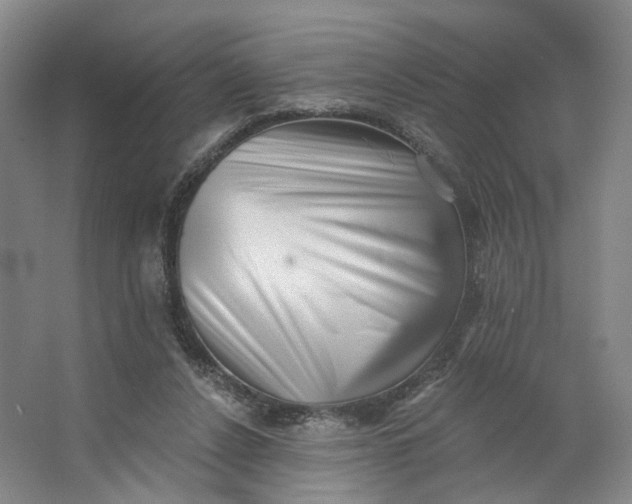 X0000062790256200601051053
