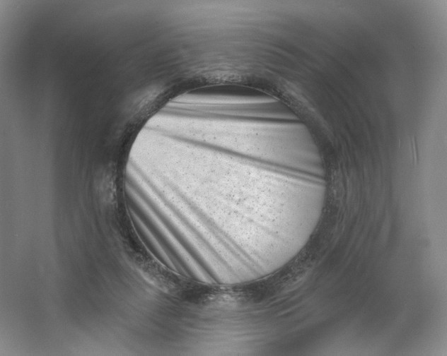 X0000062790259200601051053
