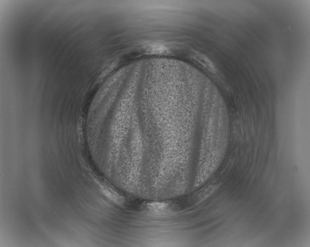 X0000062790265200601051053
