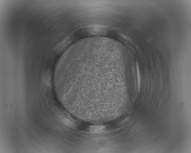 X0000062790266200601051053