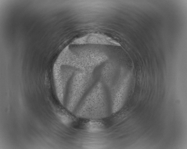 X0000062790270200601051053