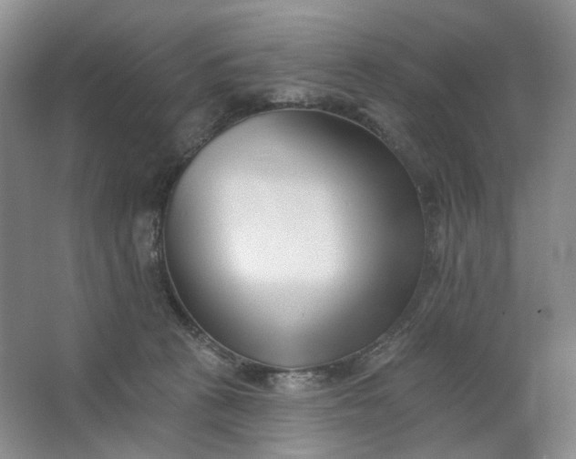 X0000062790273200601051053