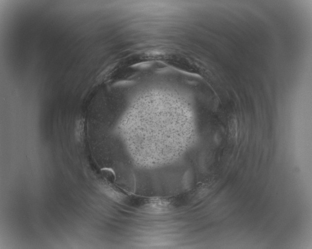 X0000062790278200601051053