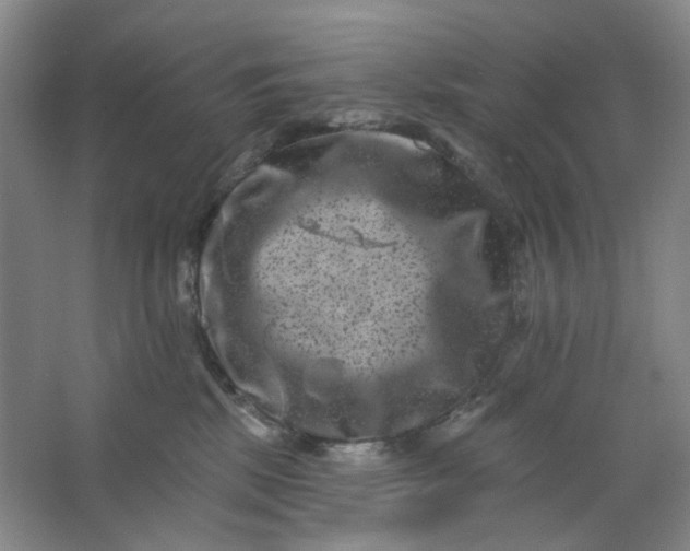 X0000062790281200601051053