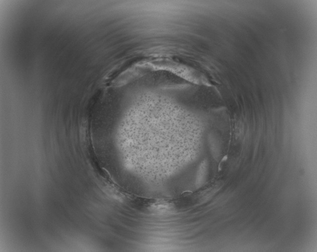 X0000062790283200601051053