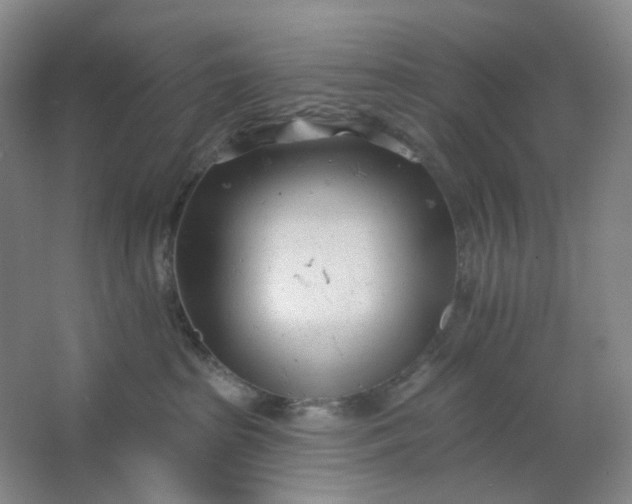 X0000062790285200601051053