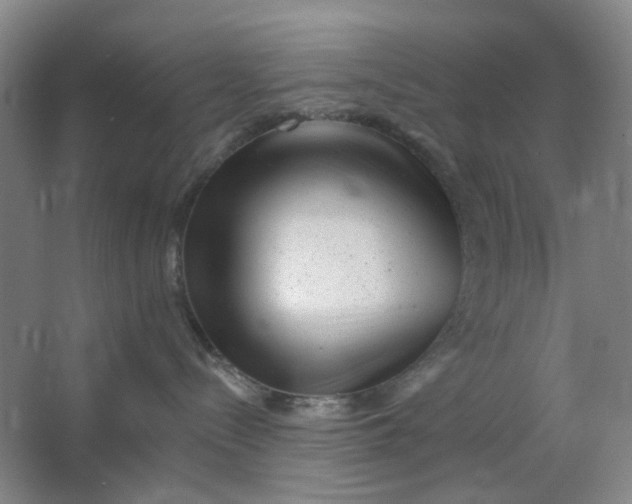 X0000062790288200601051054