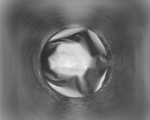 X0000062790289200601051053