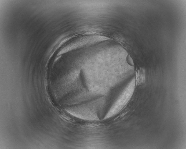 X0000062790291200601051053