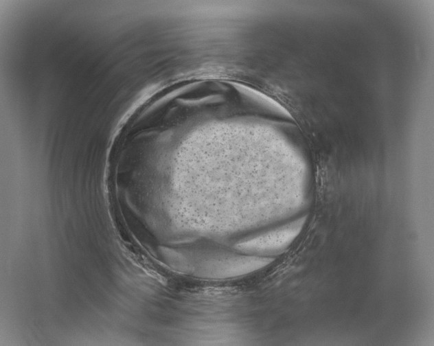 X0000062790292200601051053