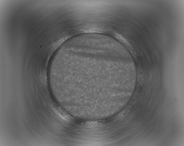 X0000062790298200601051053