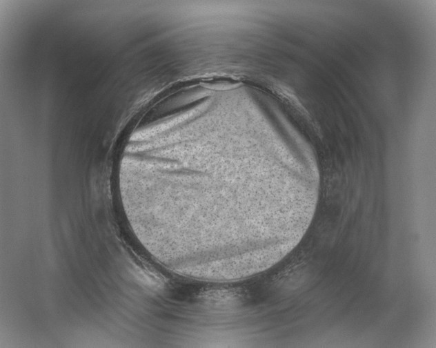 X0000062790299200601051053