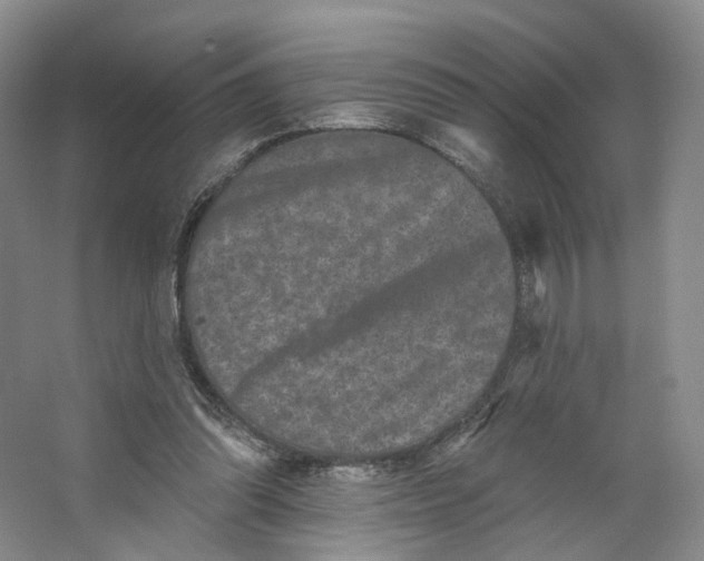X0000062790302200601051053