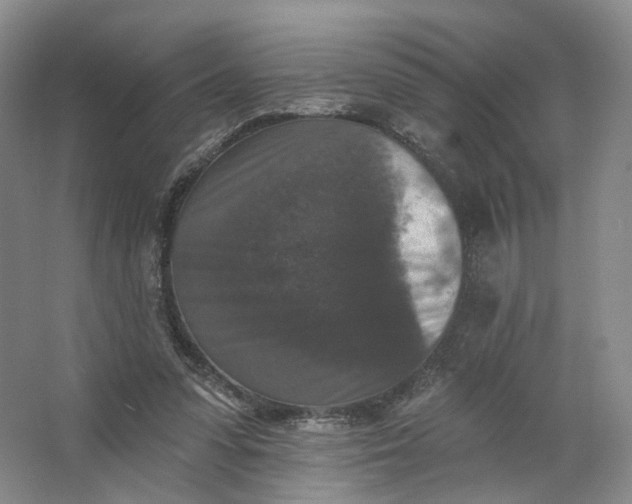 X0000062790303200601051053