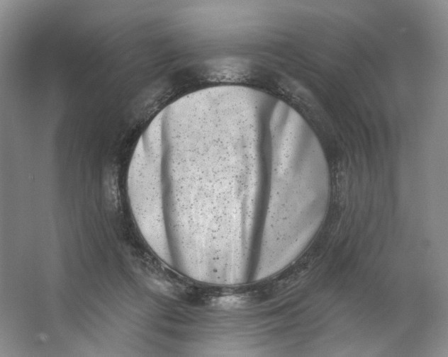 X0000062790312200601051052