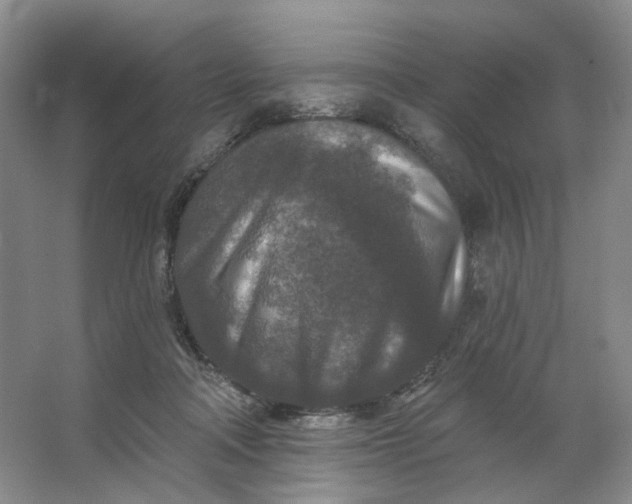 X0000062790314200601051052