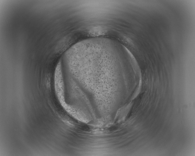 X0000062790315200601051052