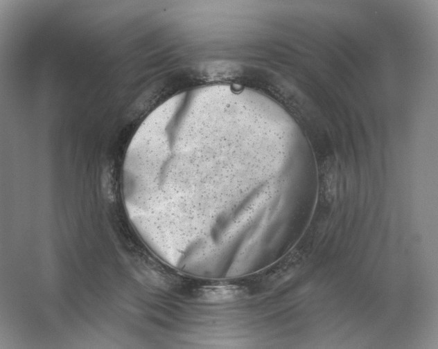 X0000062790316200601051052