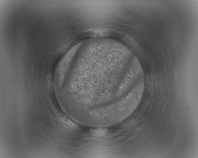 X0000062790318200601051052