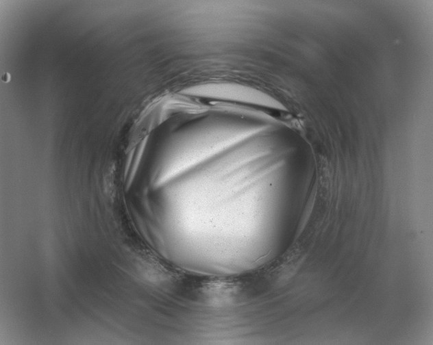X0000062790319200601051052