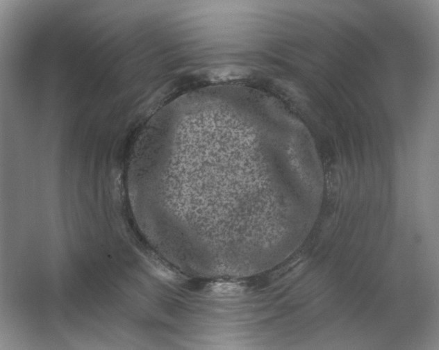 X0000062790327200601051052