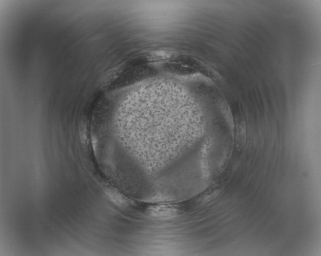 X0000062790331200601051052