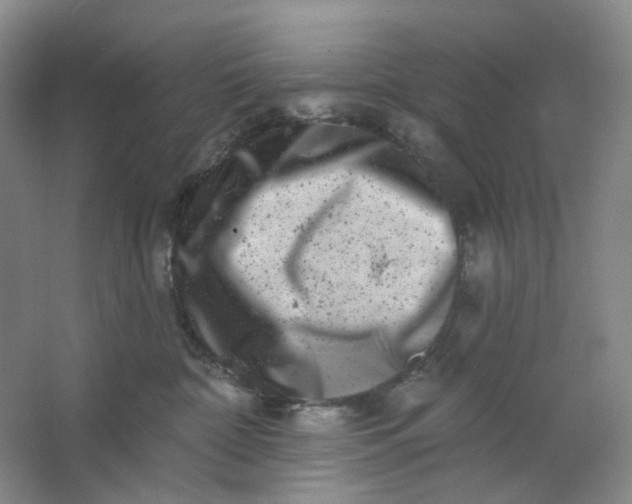 X0000062790332200601051052