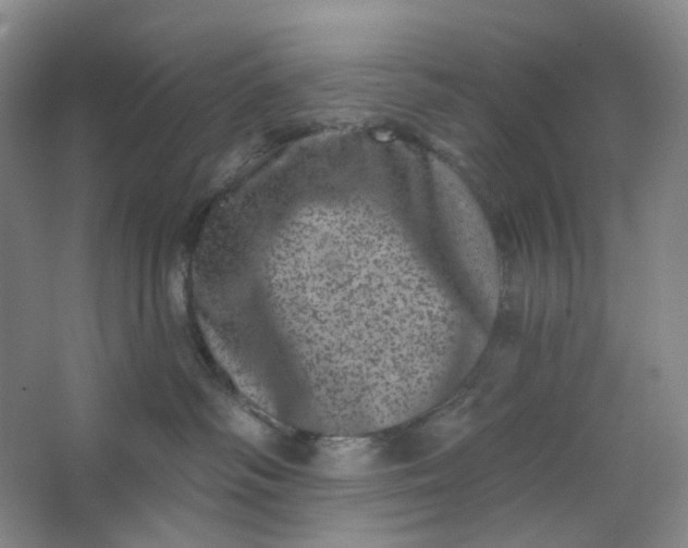 X0000062790334200601051052