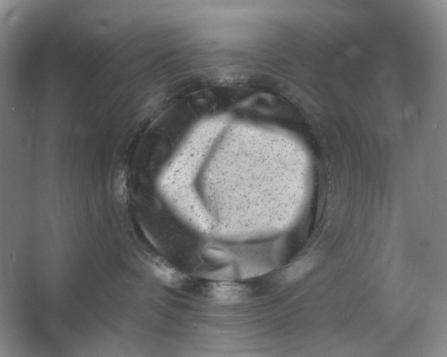 X0000062790336200601051052