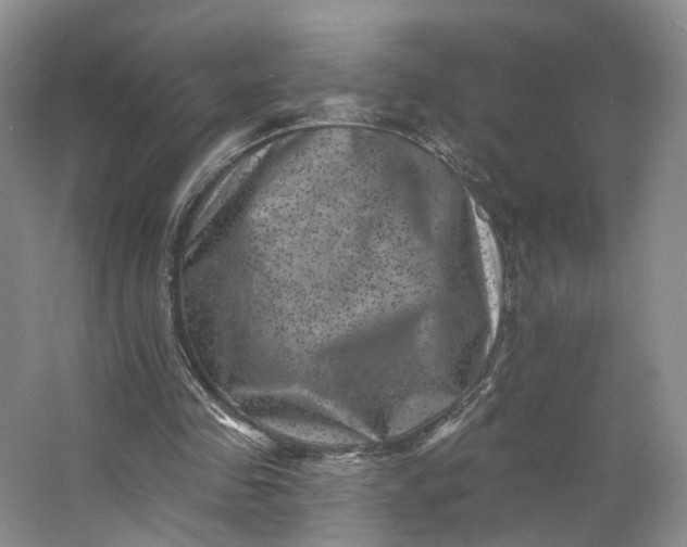 X0000062790341200601051051