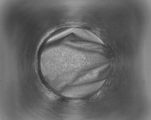 X0000062790342200601051051