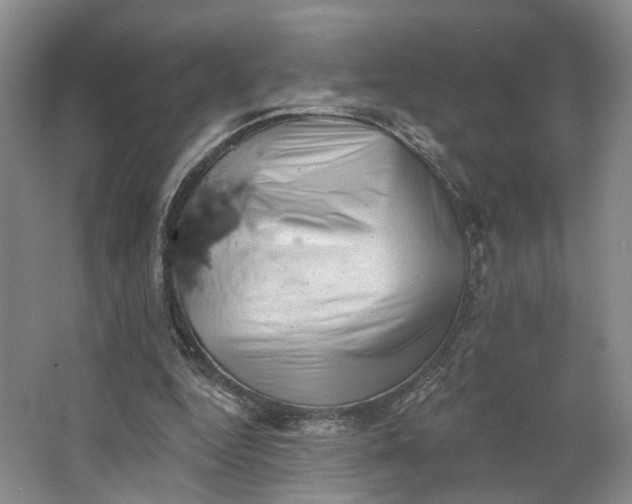X0000062790344200601051051