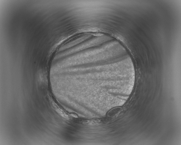 X0000062790345200601051051