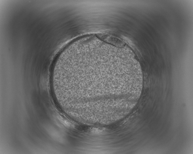 X0000062790346200601051051