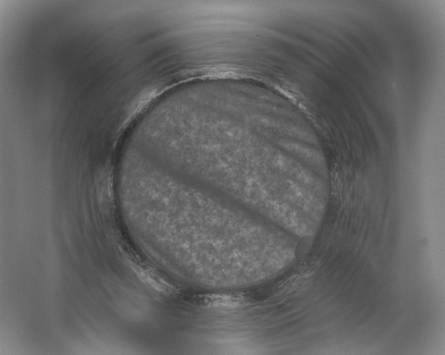 X0000062790347200601051051