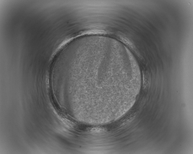 X0000062790348200601051051