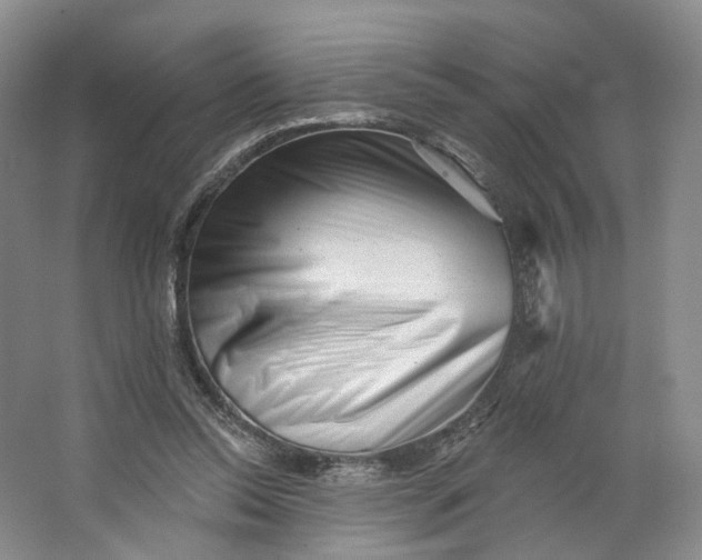 X0000062790350200601051051
