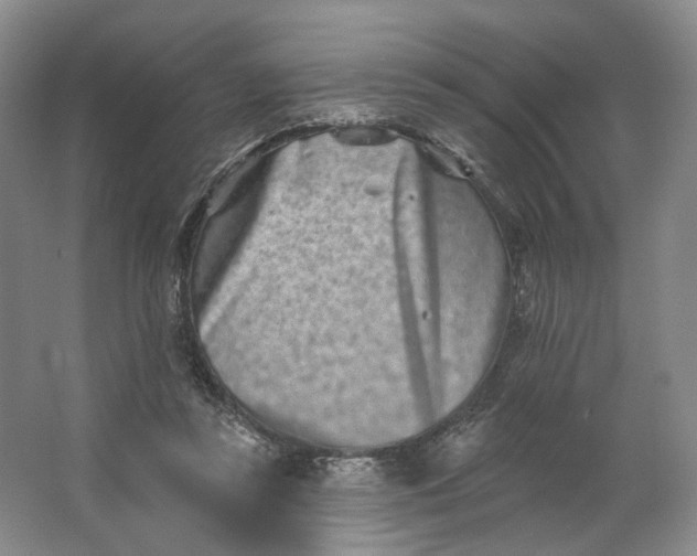 X0000062790355200601051051