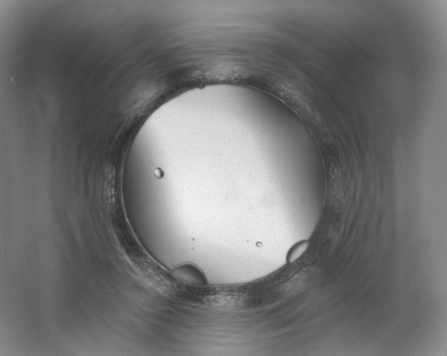 X0000062790356200601051051